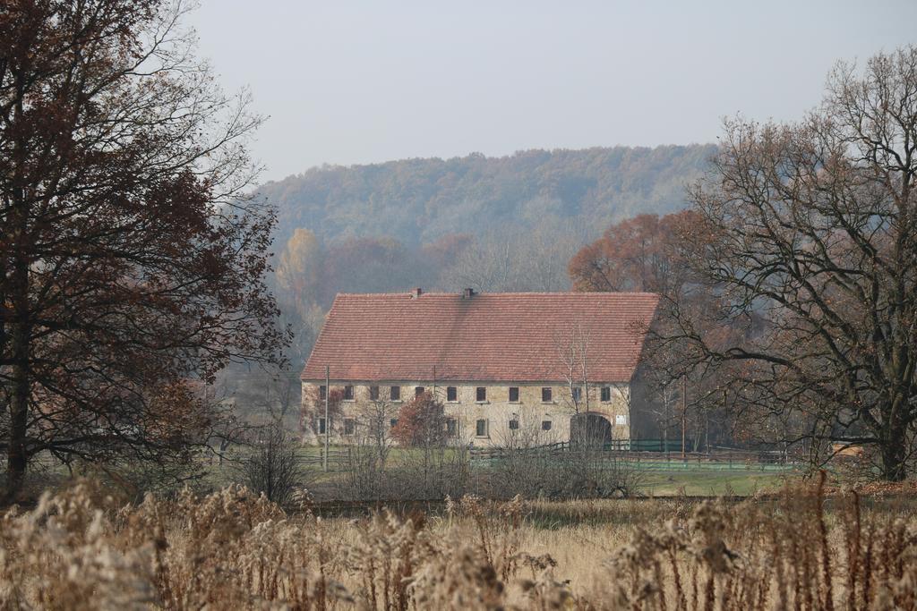 Agroturystyka Dom Pod Sowa Nawojow Luzycki Экстерьер фото