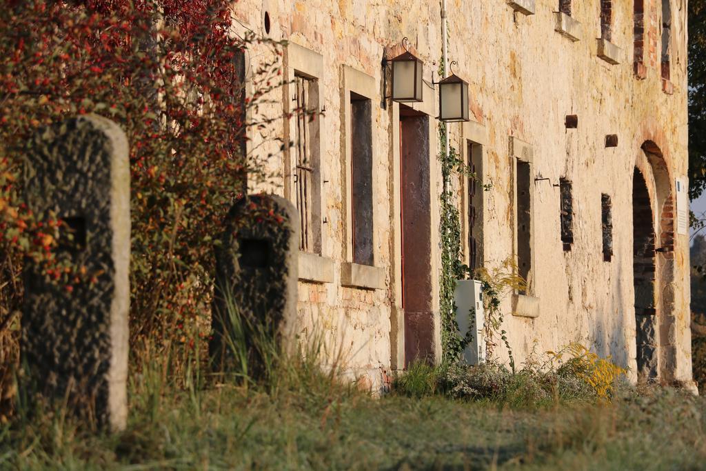 Agroturystyka Dom Pod Sowa Nawojow Luzycki Экстерьер фото
